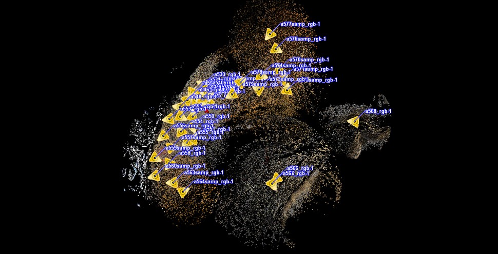 An image of the completed point cloud for Fort Conger. Thousands of tiny dots form the image of the site, coastline, and even the sea ice. Yellow triangles identify where the scanner was set up. 