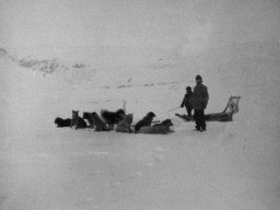 A historic photograph of two members of the Lady Franklin Bay Expedition standing beside their sled, with their dogs harnessed together.